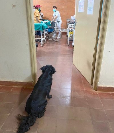 Crónica / “Compañero de vida”, he’i por su perro