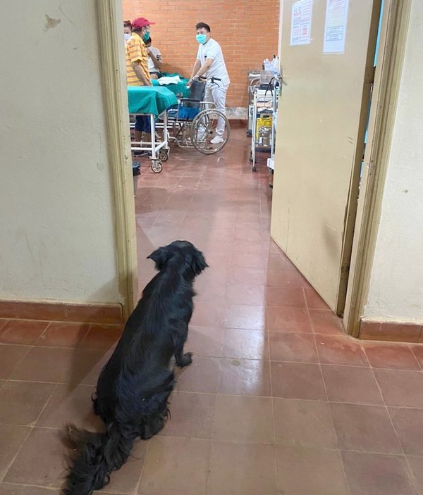 Crónica / “Compañero de vida”, he’i por su perro