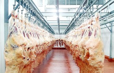 Mejorar calidad para llegar a mercados premium de la carne - Nacionales - ABC Color