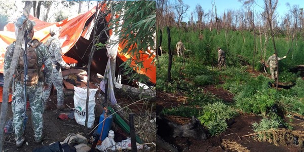 OPERATIVO ANTINARCO EN LA RESERVA SAN RAFAEL