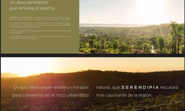 Presentan Serendipia, un nuevo concepto de estilo de vida