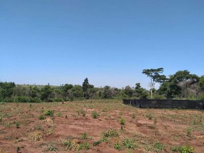 1.090 toneladas de marihuana fueron destruidas en una semana en Amambay