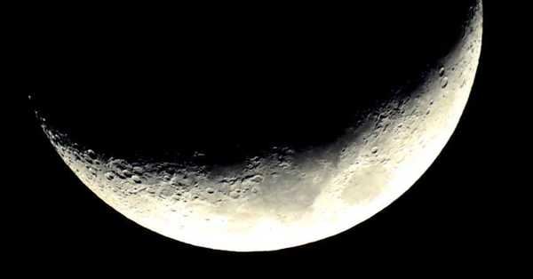 Millonario japonés sortea 8 pasajes para viajar alrededor de la Luna en la Starship de Elon Musk - SNT