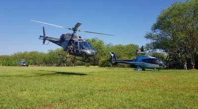 Mediante “Operación Nueva Alianza XXIV” se destruyeron 1200 toneladas de marihuana en Amambay
