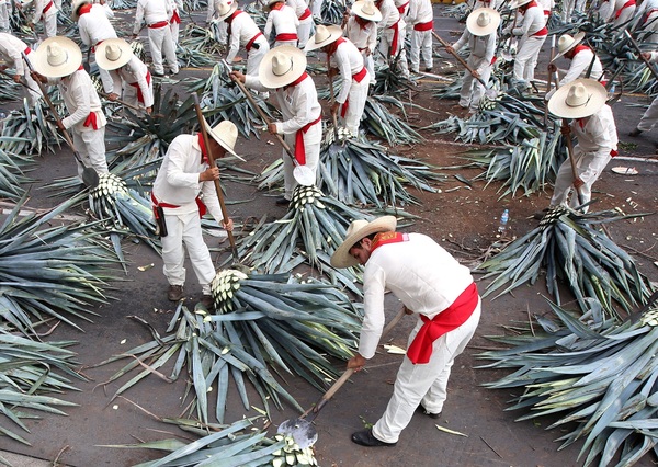 Kendall Jenner se apunta a la moda del tequila y genera polémica en México - MarketData