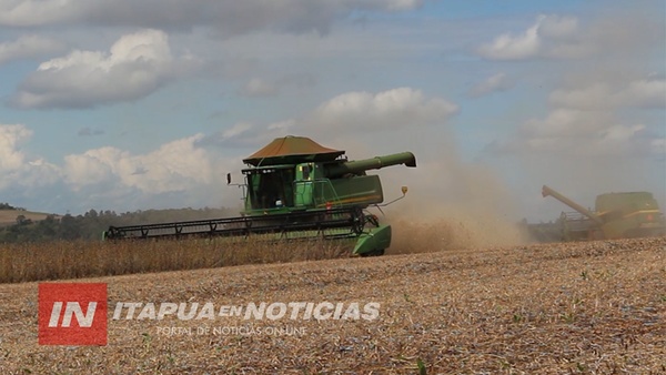 SOJA RECUPERA SU RENDIMIENTO Y COSECHA LLEGA AL 50%