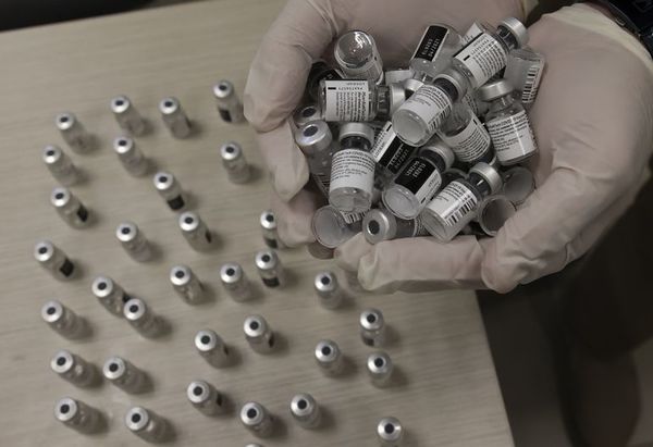 Perú recibe 50.000 dosis de Pfizer contra el covid-19 - Mundo - ABC Color