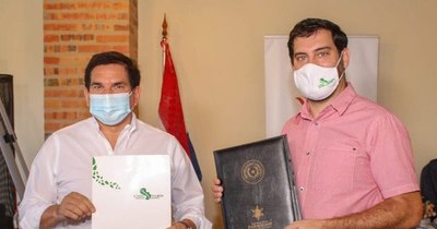La Nación / Realizarán jornada de arborización