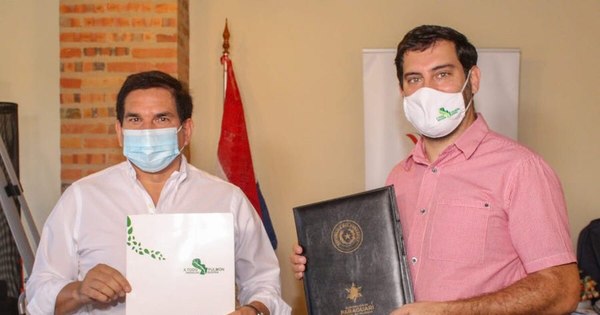 La Nación / Realizarán jornada de arborización