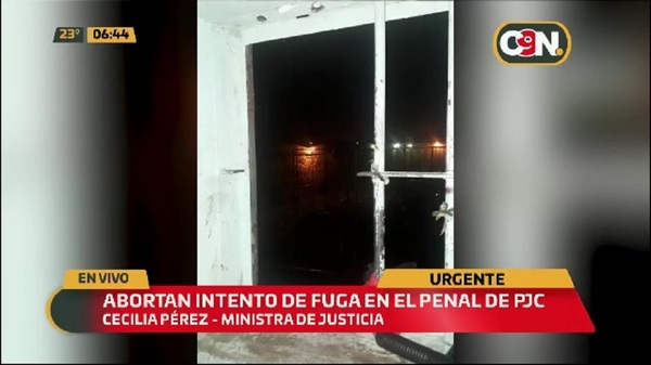 Reo intentó fugarse de la cárcel de Pedro Juan Caballero - C9N