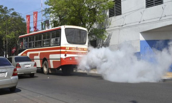 Estudian posible nuevo subsidio ante presión de transportistas | El Independiente