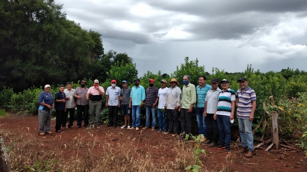 ITAPÚA POTY: BRINDAN CAPACITACIÓN Y ASISTENCIA TÉCNICA A PRODUCTORES YERBATEROS