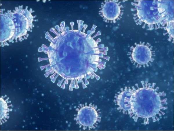 El coronavirus se siente "particularmente atraído" por el grupo sanguíneo A