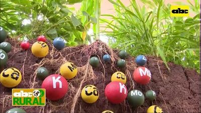 ABC Rural: Buen manejo de suelo se refleja en aumento de rendimientos (I) - ABC Rural - ABC Color