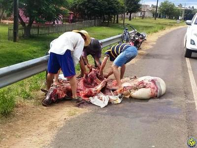 Faenan vaca tras accidente, donan carne a hospital y a vecinos •