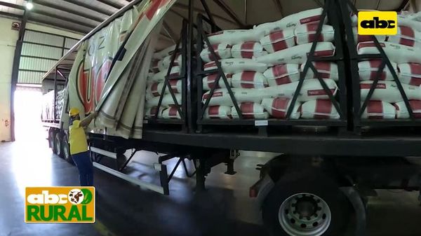 ABC Rural: Manejo logístico estratégico en Industrias Trociuk - ABC Rural - ABC Color