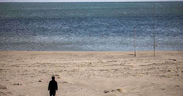 La Nación / Alerta de tsunami tras sismo de magnitud 7,8 ante las islas Kermadec en Nueva Zelanda