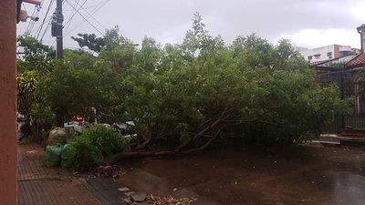 Algunos usuarios de Sajonia, San Vicente, Republicano y Luque siguen sin electricidad - Nacionales - ABC Color