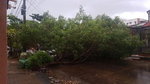 Algunos usuarios de Sajonia, San Vicente, Republicano y Luque siguen sin electricidad - Nacionales - ABC Color