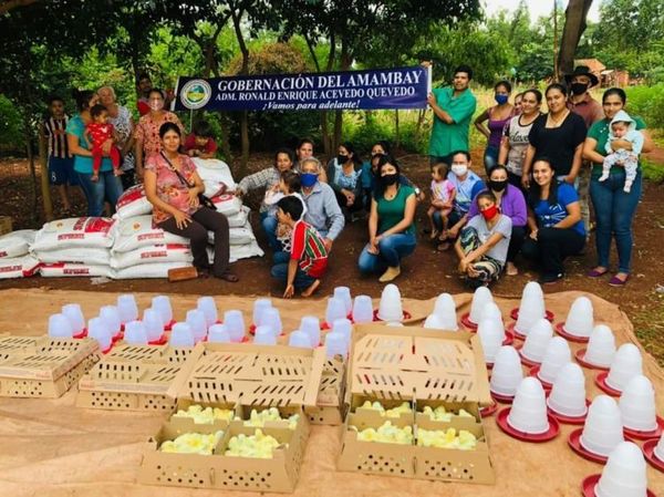 Gobernación sigue desarrollando la avicultura entre pequeñas fincas familiares