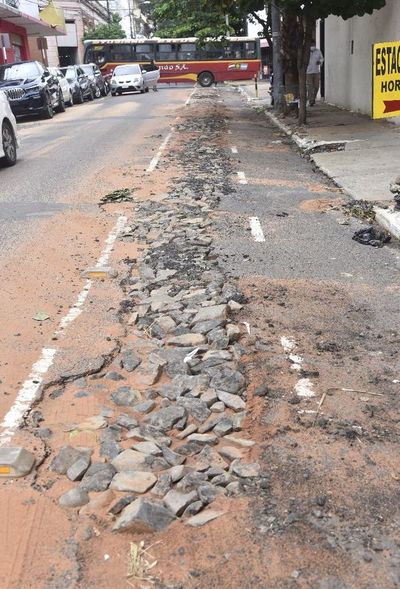 Bicisenda “adorno” se encuentra intransitable - Nacionales - ABC Color