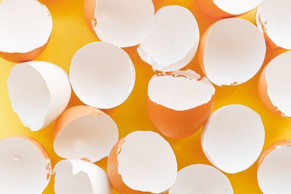 Cinco usos creativos para darle a la cáscara de huevo