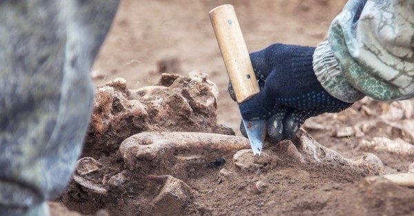 Científicos encuentran evidencias de que los neandertales hablaban - SNT
