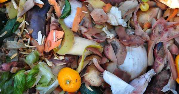 ONU señala que el 17% de los alimentos en el mundo termina en la basura - SNT