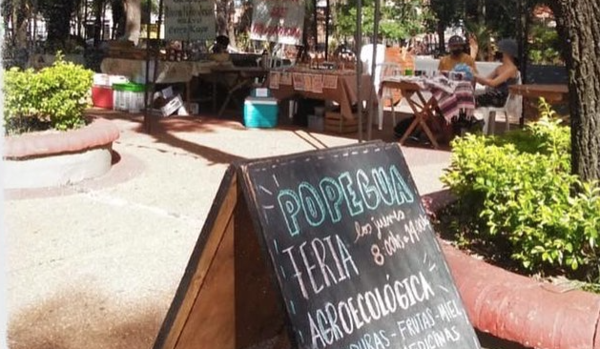 Diario HOY | Invitan a la Fiesta de la Guayaba, este sábado