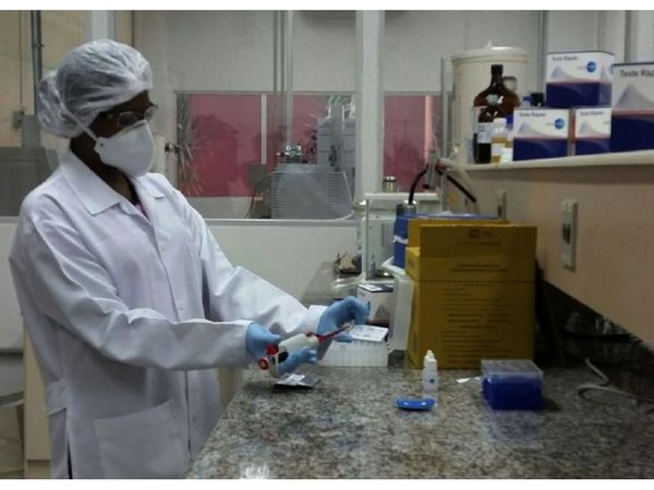 Un suero producido en Brasil curaría a pacientes con Covid