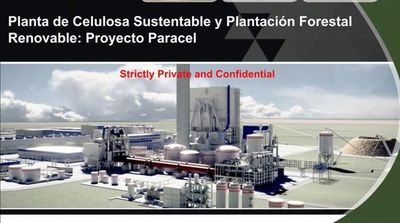 Planta de celulosa, con el visto bueno de zona franca - Nacionales - ABC Color
