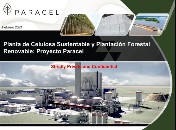 Consejo de Zonas Francas aprueba instalación de planta de celulosa en Concepción | .::Agencia IP::.