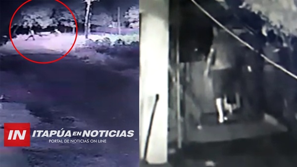 CÁMARAS CAPTAN MOMENTO DE HURTO DE ANIMAL VACUNO.
