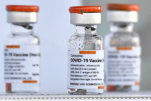 Veinte mil dosis de vacuna CoronaVac llegan al país | OnLivePy