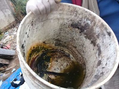 Instan a sguir eliminando criaderos de mosquitos - Nacionales - ABC Color