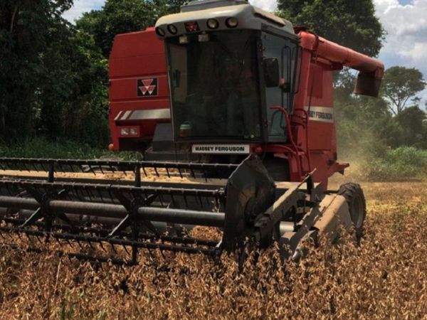 Buen rendimiento de la cosecha de soja en su etapa principal en Itapúa