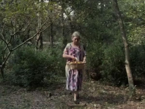 El Regreso de las Sombras trae este lunes a Yasy Yateré