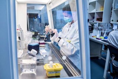 Coronavirus: Salud Pública registra 1.074 nuevos contagios y 24 muertes