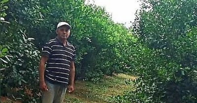 La Nación / Destacan exitosa experiencia de yerbatero que produce 30.000 kilos por año