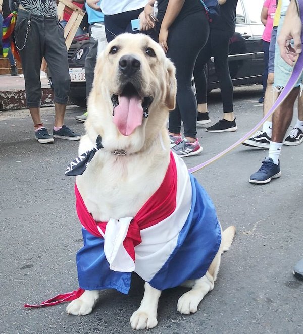 Crónica / “Yo lo veo como a un paraguayo más”