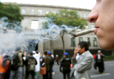 Ley de consumo lúdico de marihuana avanza en la Cámara de Diputados de México - MarketData