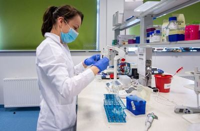 Estudian vacunas “adaptables” para combatir a nuevas cepas - Mundo - ABC Color