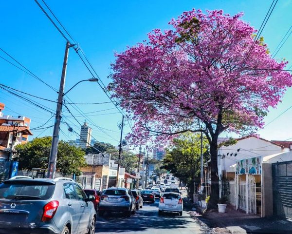 Martes caluroso y soleado, anuncia Meteorología