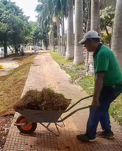 DESCARADO ROBO en la costanera de Prieto: funcionarios siembran pasto que debe hacer consorcio adjudicado