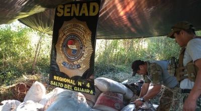Senad confisca más de una tonelada de marihuana en Canindeyú