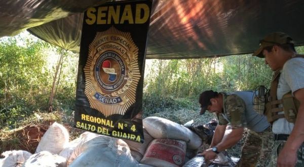 Senad confisca más de una tonelada de marihuana en Canindeyú