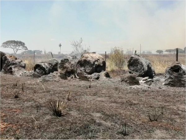 Queman 150 hectáreas de soja en el Departamento de San Pedro