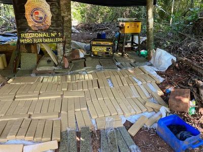 Senad destruyó más de dos toneladas de marihuana en zona de Lorito Picada