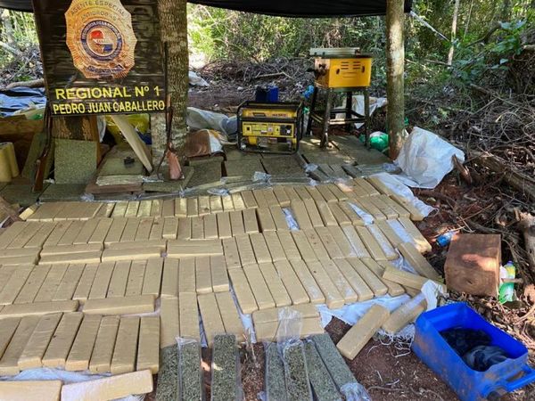 Senad destruyó más de dos toneladas de marihuana en zona de Lorito Picada