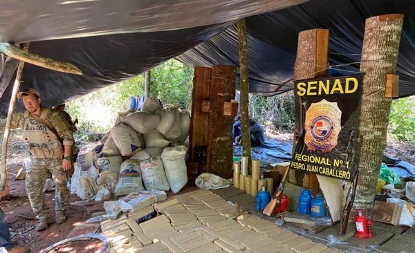 Diario HOY | Desmantelan campamento narco en Amambay e incautan más de 2 toneladas de marihuana